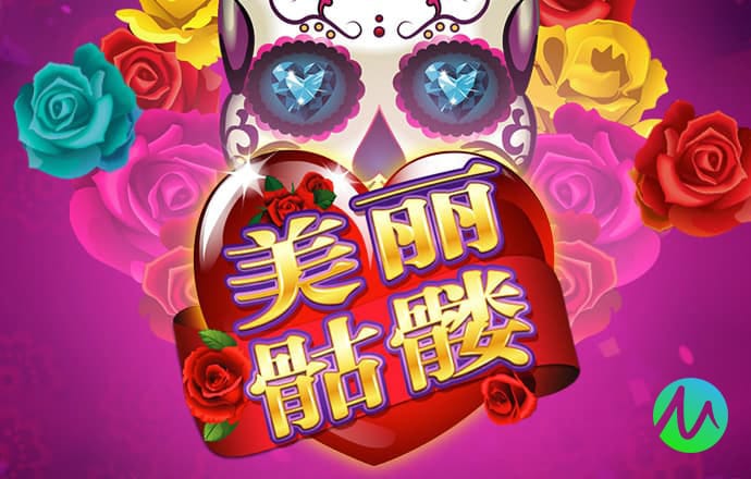 m6米乐手机网页